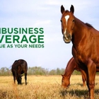 Horse Creek Insurance