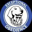 Exceptional Obedience Dog Training