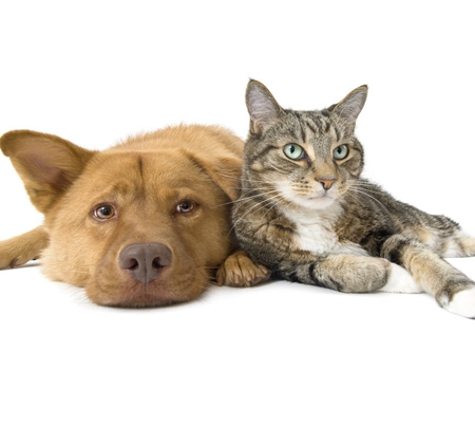 Wynnum Manly Vet Hospital - Wynnum, QLD