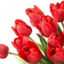 Kreations By Lowery - Florists