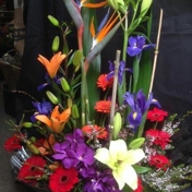 Gallery Image Number 2