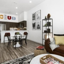 Yale 25 Station Apartments - Apartment Finder & Rental Service