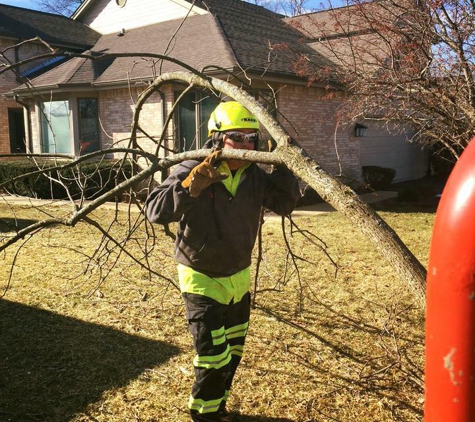 Precise Tree Care, Inc. - Frankfort, IL