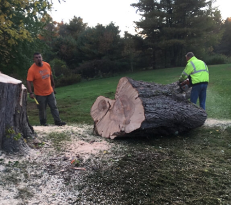 McNeely Tree Service, Inc. - Brookfield, MA