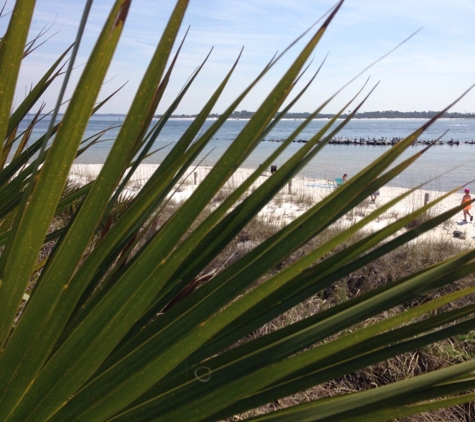 St Andrews Marina - Panama City, FL