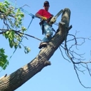 JTS TREE SERVICE LLC - Tree Service