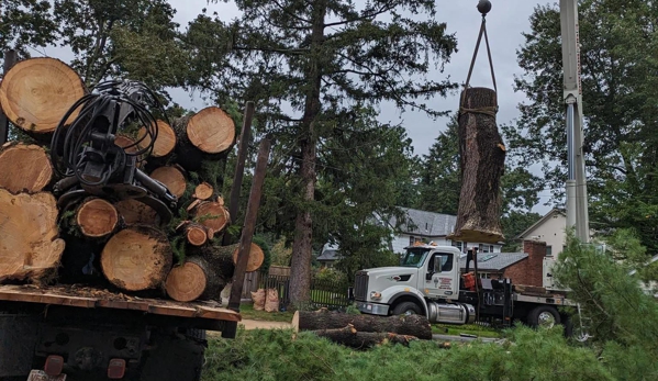 Norfolk Property Tree Service - Waltham, MA