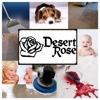 Desert Rose Carpet Cleaning gallery