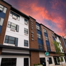 The Hive - Apartments