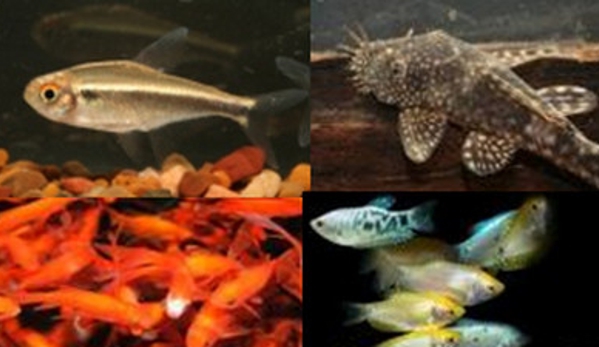 Select Pets Bicton - East Fremantle, WA
