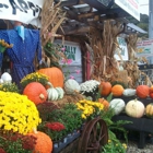 Piney Mountain Orchard Produce