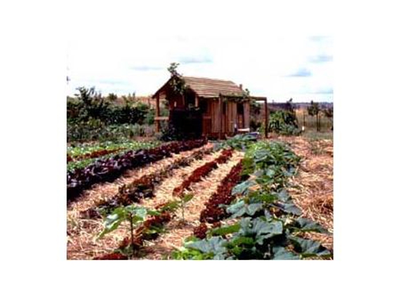 Food Forest The - Hillier, SA
