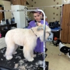 Lil Bit O'Grooming Pet Salon gallery