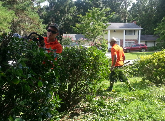 Sun Power Lawn Care - Gainesville, FL. Hedge cutting in Gainesville FL