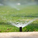 Landscape Expressions - Landscape Designers & Consultants