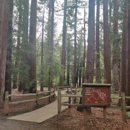 Redwood Grove Nature Preserve - Parks