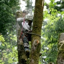 Schult's Quality Tree Service - Tree Service