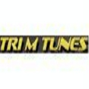 Tri M Tunes & Glass - Automobile Alarms & Security Systems