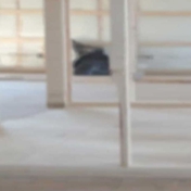 Gallery Image Number 7
