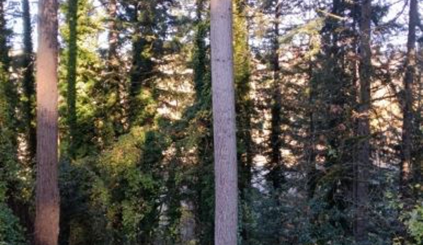 Alexa's Tree Service LLC - Vancouver, WA