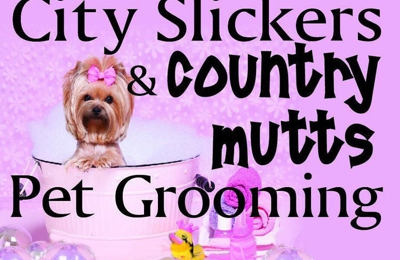 Country mutts dog hot sale grooming