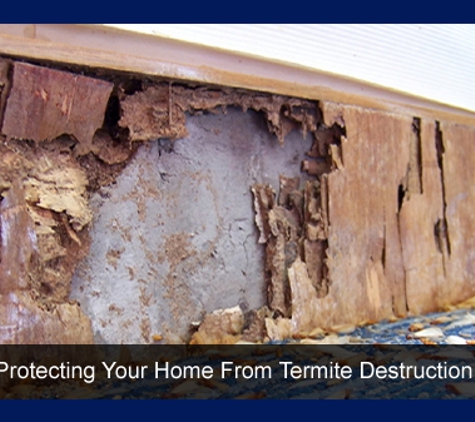 Rebel Pest - Newcastle, NSW. Protecting Your Home From Termite Destruction