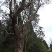 Gallery Image Number 5