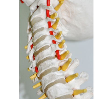 Pioneer Family Chiropractic - Grovedale, VIC
