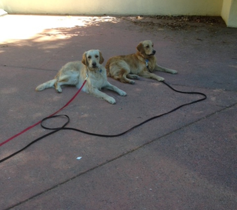 Wag Time Dog Training - Antelope, CA