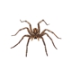 Farmers Pest Control