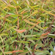 Gallery Image Number 2