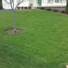 Greenkeeper Lawn, Tree & Shrub Treatment Service