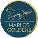 Marlos Golden Retrievers - Pet Breeders