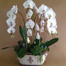 The Orchid Wrangler - Gift Baskets