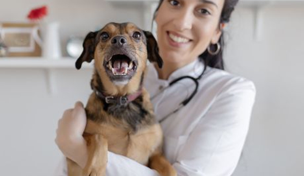 Baird's Animal Hospital - Lumberton, NC