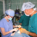 Dr. Mary Snyder - Physicians & Surgeons, Plastic & Reconstructive