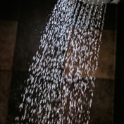 Gallery Image Number 5