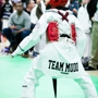 Authentic Taekwondo Academy, MUDO USA