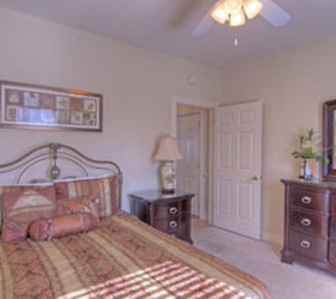 Palmetto Vacation Rentals - Myrtle Beach, SC