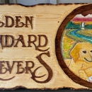 Golden Standard Retrievers - Pet Breeders