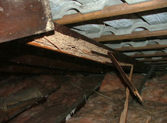 Castlemaine Pre Purchase Property & Building Inspections - Castlemaine, VIC