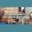 My Three Dogs - Coleman - Hostels