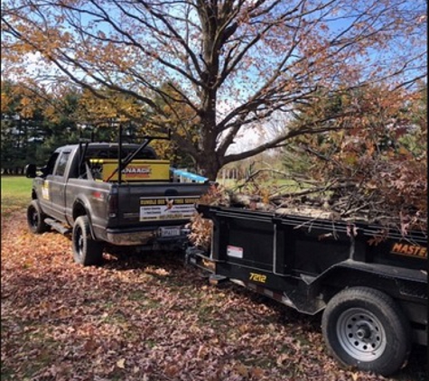 Rumble Bee Tree Service - Springfield, IL