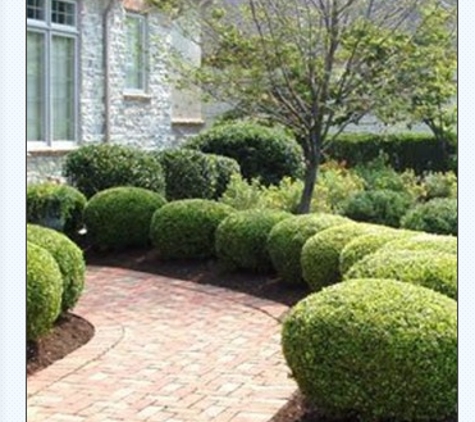 C & T Lawn & Landscape - Lynwood, IL