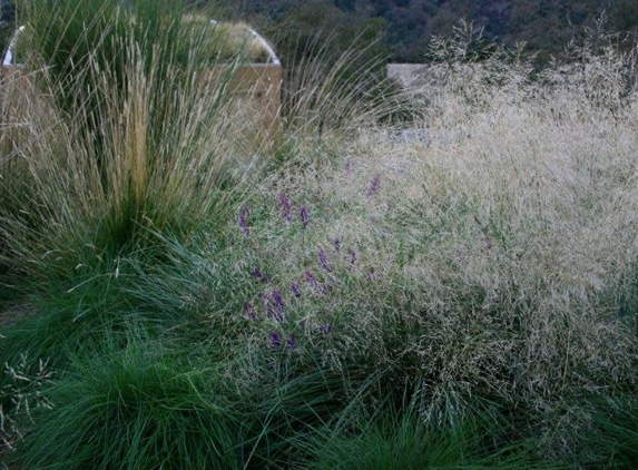 Mozaic Landscapes - Sunol, CA