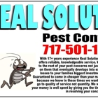 Real Solutions Pest Control