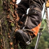 Remberto Tree Work & Landscaping gallery
