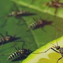 Expel Exterminating Experts - Pest Control Equipment & Supplies