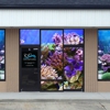 Coral Reef Junkies gallery