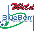 Wild Blueberries - Ice Cream & Frozen Desserts